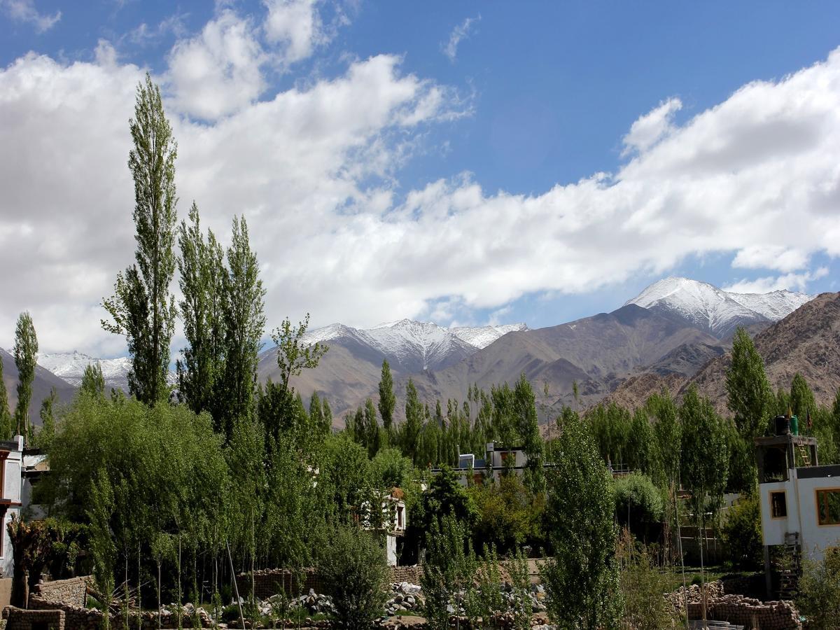 Hotel Mahay Palace Leh Dış mekan fotoğraf