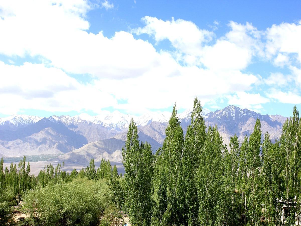 Hotel Mahay Palace Leh Dış mekan fotoğraf