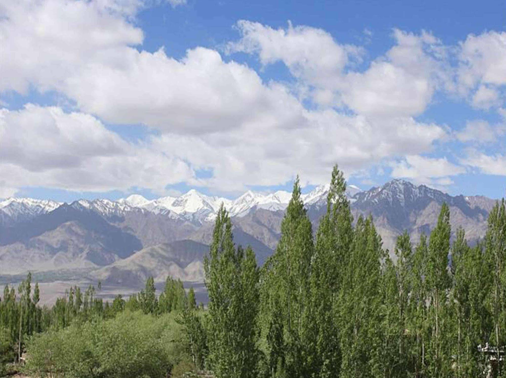 Hotel Mahay Palace Leh Dış mekan fotoğraf